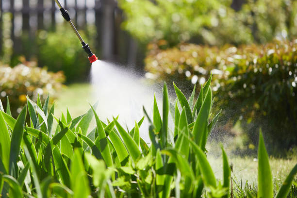 24/7 Emergency Mosquito Control experts in Smith Center, KS